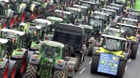 Sejumlah spanduk maupun poster berisi kritik dan protes para petani terpasang di badan traktor yang terparkir di pusat Kota Berlin tersebut. Michael Sohn/AP Photo.