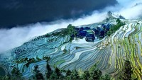 Jika mengikuti saran liburan National Geographic, Anda bisa memacu adrenalin di jembatan tertinggi di dunia atau persawahan di Guizhou, China ini (Foto: CNN)