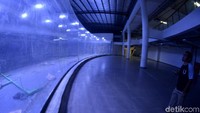 Pembangunan gedung PIAMARI yang baru saja selesai telah menelan anggaran sekitar Rp 93 miliar sementara pembangunan akuarium menghabiskan Rp 43 miliar. Target awal, PIAMARI akuarium ini bisa beroperasi pada Maret 2020 mendatang.  (Faizal Amiruddin/detikcom)