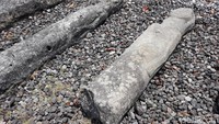 Bahkan, terdapat pula beberapa menhir berukuran panjang dan menyerupai tubuh manusia. (Pradito Rida Pertana/detikcom)