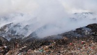 Berbagai cibiran pun muncul dari warganet. Ironis, tempat wisata yang seharusnya indah dan nyaman, dengan titelnya sebagai Pulau Dewata, justru penuh sampah. Komunitas Divers Clean Action (DCA) merilis temuan bahwa 63 persen sampah di lautan Indonesia berupa sampah plastik sekali pakai. 