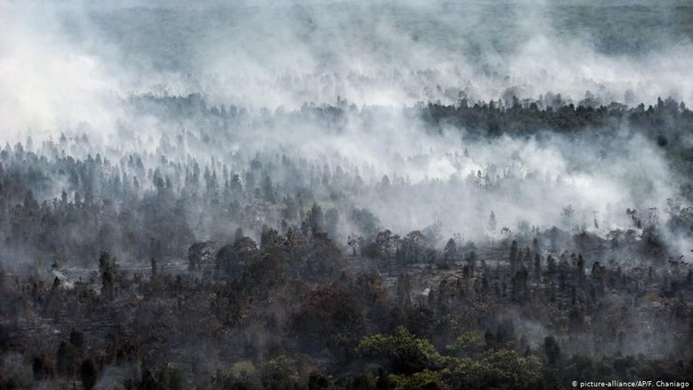 Emisi Karbon Kebakaran Hutan di Indonesia Lebih Parah Dibanding Hutan Amazon