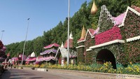 Bunga-bunga ini tidak dipaksa untuk mekar. Mereka akan diganti sekitar 3 minggu sekali, tergantung dengan ketahanan mekar tiap jenis bunga.  (Bonauli/detikcom)