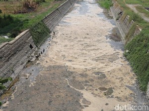 Pabrik Kertas Diduga Cemari Avur Budug di Jombang Didesak Dipidanakan