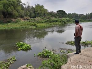 Bengawan Solo Tercemar, 12 Ribu Pelanggan PDAM di Blora Terdampak