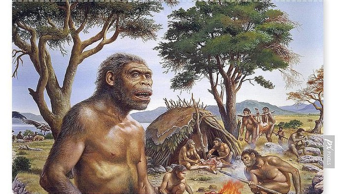 manusia purba
