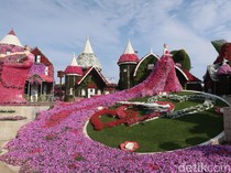 Libur Idulfitri, Dubai Miracle Garden Gratiskan Tiket Masuk