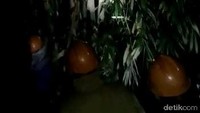 Pembasmian sarang tawon ini pun sengaja dilakukan pada malam hari. Pasalnya, tawon-tawon tersebut berkumpul di sarangnya saat malam hari.