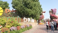 Dubai, kota gurun dari timur tengah yang kini menyulap diri menjadi modern. Dari gurun-gurunnya, lahir gedung-gedung pencakar langit dan atraksi modern lainnya, seperti Dubai Miracle Garden. (Bonauli/detikcom)