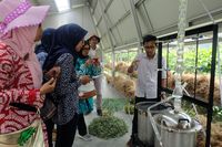 (dok Rumah Atsiri Indonesia)
