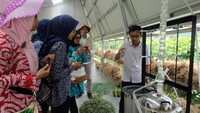 Rumah Atsiri menawarkan wisata edukasi tentang tanaman-tanaman asiri hingga produk olahannya. Asiri merupakan jenis tanaman aromatik yang dapat difungsikan untuk relaksasi hingga membantu pengobatan. (dok Rumah Atsiri Indonesia)