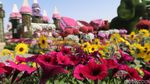 Foto: Taman Bunga Terbesar Dunia di Dubai