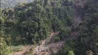 Rumah dan sawah warga terlihat tertutup lumpur yang merupakan material longsor. (Foto: Jeka Kampai/detikcom)