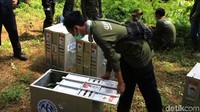 Selanjutnya kukang yang terdiri dari 3 jantan dan 7 betina ini belum benar-benar dilepasliarkan. Mereka harus menjalani tahapan habituasi terlebih dahulu sebagai proses adaptasi di lingkungan barunya.