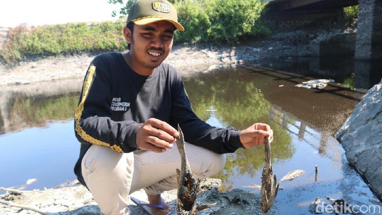 Selidiki Pencemaran Sungai Avur Budug Jombang, Ini yang Dilakukan KLHK Selidiki Pencemaran Sungai Avur Budug Jombang, Ini yang Dilakukan KLHK