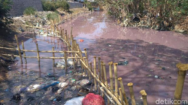 Tercemar Limbah, Warna Air Sungai Ciberes Cirebon Berubah Jadi Pink
