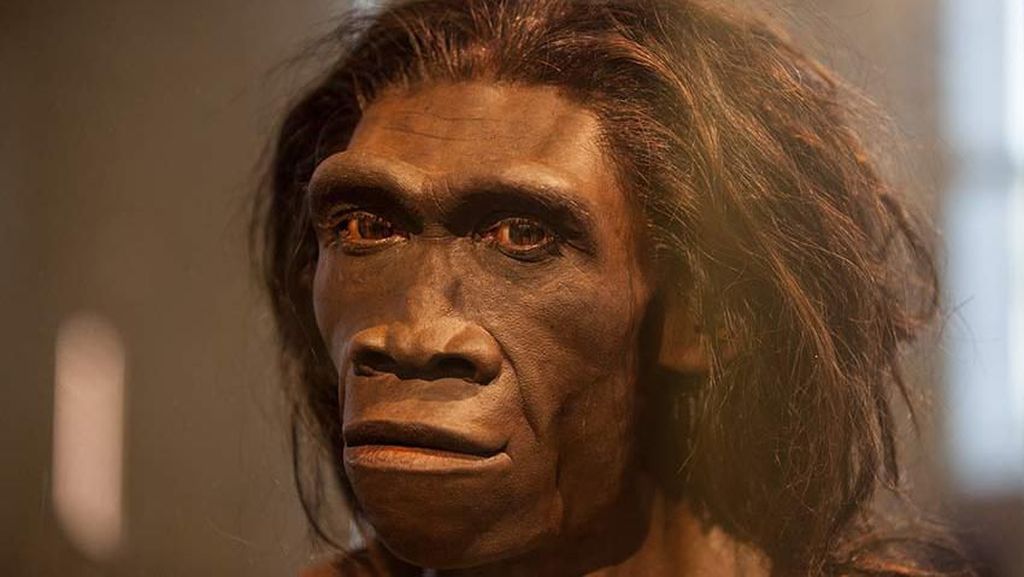 Ilmuwan Temukan DNA Manusia Purba Tertua Berusia 23.000 Tahun, Ada di Negara Ini