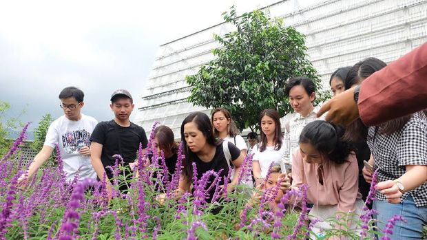 Wisata Relaksasi di Rumah Atsiri Tawangmangu