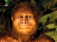 Disebut Punah Karena Malas, Spesies Homo Erectus Punya Pola Makan Beragam