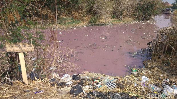 Tercemar Limbah, Warna Air Sungai Ciberes Cirebon Berubah Jadi Pink