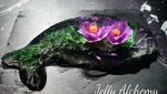 Bagai Lukisan! Jelly Ini Tampilkan Gambar Bunga hingga Burung Merak