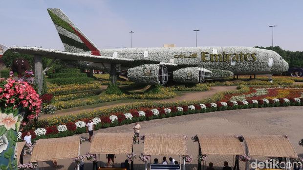 Cantiknya Taman Bunga Terbesar Dunia di Kota Gurun