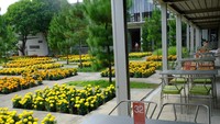 Wellness tourism atau wisata kesehatan mulai dikembangkan di wilayah Yogyakarta-Solo-Semarang (Joglosemar). Salah satu objeknya ialah Rumah Atsiri Indonesia yang berada di Desa Plumbon, Tawangmangu, Karanganyar. (dok Rumah Atsiri Indonesia)