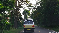 Angkutan kota di Balikpapan dipanggil dengan sebutan taksi. Padahal seperti diketahui, istilah taksi di Pulau Jawa merujuk pada jenis transportasi yang lebih personal dan biasanya menggunakan mobil jenis sedan. Lalu mengapa angkot di Balikpapan disebut taksi? Foto: Luthfi Anshori/detikOto