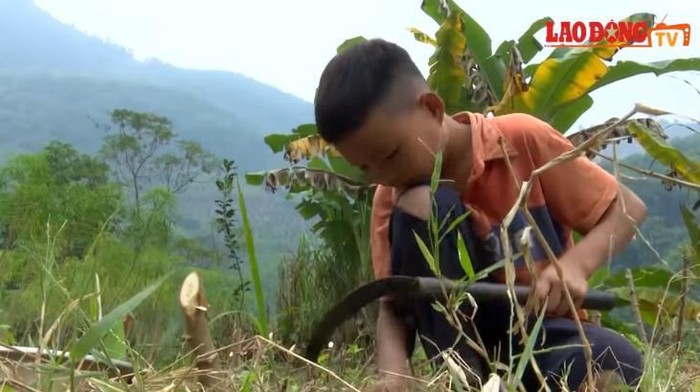 bocah berkebun dan makan sayur