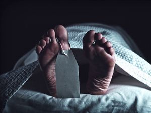 Seram! Penemuan Mayat Membusuk di Restoran dan Supermarket ini Bikin Merinding