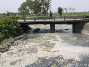 Pencemaran Sungai Avur Budug di Jombang Imbas Lemahnya Pengawasan