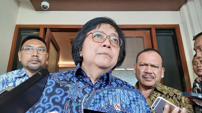 Menteri LHK Siti Nurbaya (Lisye Sri Rahayu-detikcom)