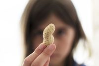 Restoran Didenda Rp 69 Juta Karena Sajikan Kari Kacang pada Konsumen Alergi Kacang