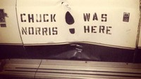 Bodi mobil di bawah ini penyok gara-gara ditendang Chuck Norris! (Boredpanda)