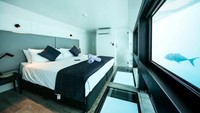Sambil menginap, pengunjung bisa sambil menyapa ikan -ikan di bawah laut. Seperti punya akuarium raksasa di dalam kamar. (Reefsuites/handout)