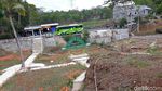 Potret Kebun Bunga Amarilis Layu, Banyak Wisatawan Kecele