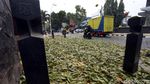 Duh, Trotoar Cikini Dipenuhi Dedaunan