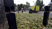 Begini penampakan daun-daun yang memenuhi trotoar di kawasan Cikini, Jakarta.