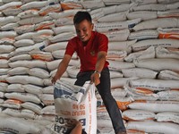 20.000 Ton Beras Bulog Terancam Busuk, Mau Dibuang?