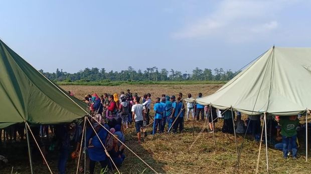 Antusias Warga Timika Lihat Aksi TNI Latihan Terjun Payung