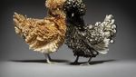 Rayakan Keberagaman Cinta, Fotografer Ini Pakai Ayam untuk Foto Romantis