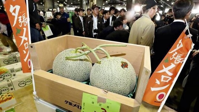 Bisa Beli Apartemen! Ini 5 Harga Buah Termahal di Dunia