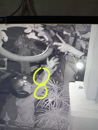Terekam CCTV, Ini Tampang Pelaku Pencurian Sepeda di Cilebut Bogor