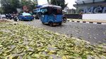 Duh, Trotoar Cikini Dipenuhi Dedaunan