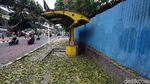 Duh, Trotoar Cikini Dipenuhi Dedaunan