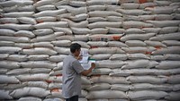 Pekerja memikul karung beras di Gudang Bulog Sub Divisi Regional Serang di Serang, Banten, Jumat (29/11/2019). 