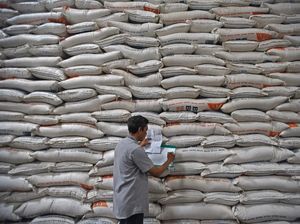 Buwas Beberkan Stok Pangan di Gudang Bulog, Ini Datanya