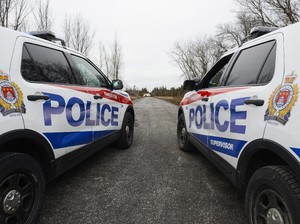 Pesawat Ringan Jatuh ke Hutan Dekat Danau Ontario, 7 Orang Tewas