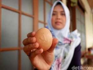 Kisah Telur Unik, Tertulis Lafaz Allah hingga Bentuk Bulat Sempurna