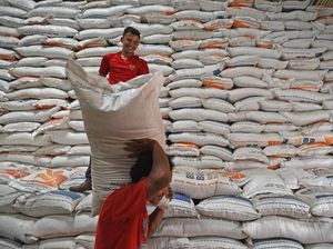 Bulog Mau Serap 950.000 Ton Beras Petani Tahun Ini